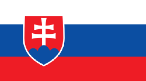 flag_of_slovakia-svg_1682698542-3f792947bf0bd2e391d93e0dd6d20a3a.png